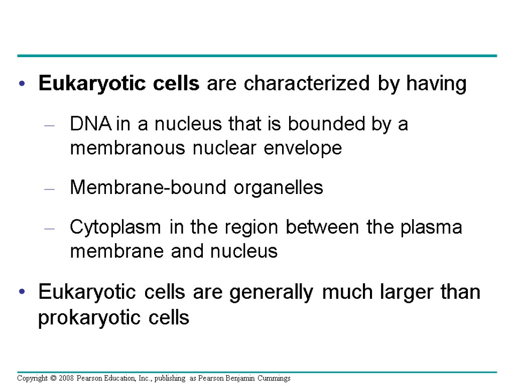 Eukaryotic cells are characterized by having DNA in a nucleus that is bounded by